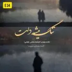 دانلود آهنگ تنگ میشه دلت یه روزی “هوش مصنوعی” از هایده و محسن چاوشی و مهدی احمدوند